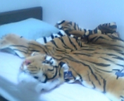 e0087939_123101.jpg