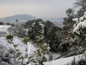 a0054240_2128573.jpg