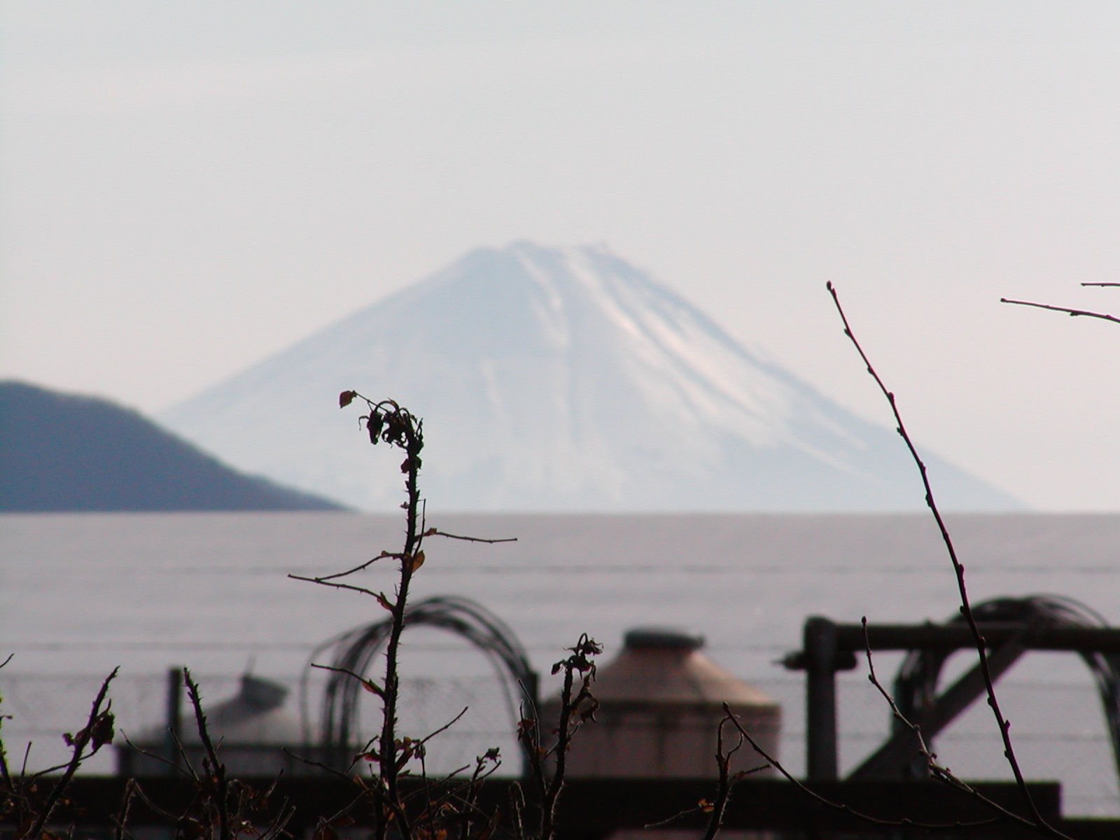 f0039446_11352256.jpg