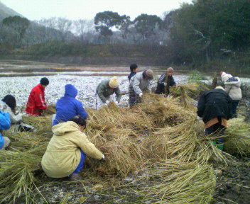 f0088647_15184360.jpg