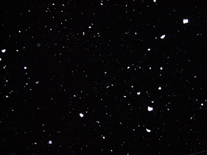 f0067354_011488.jpg