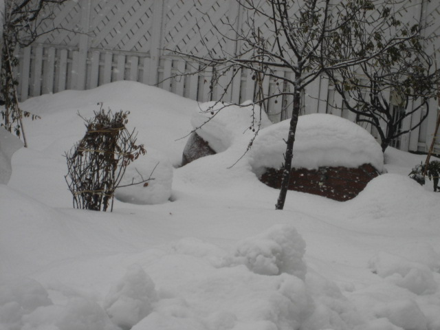 a0075455_151272.jpg