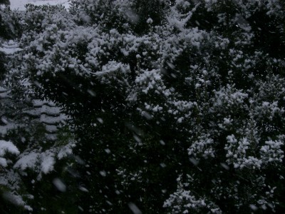 f0104057_16494373.jpg