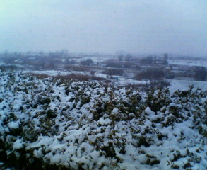 e0009060_0491268.jpg