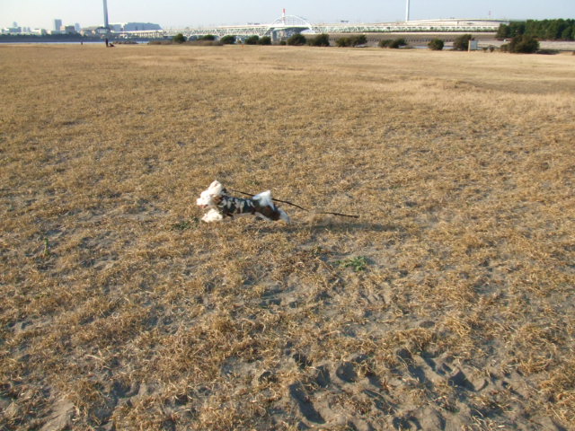 b0103668_9301436.jpg