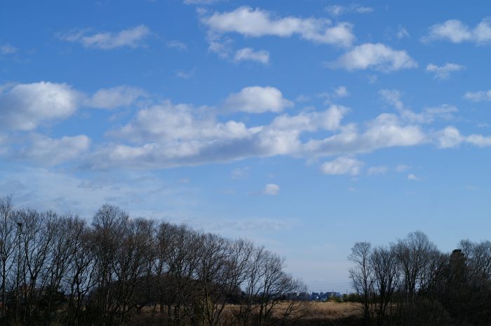 c0077379_2324378.jpg