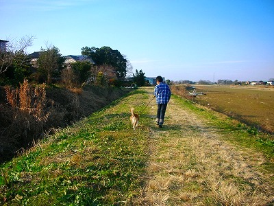 c0078480_23325372.jpg
