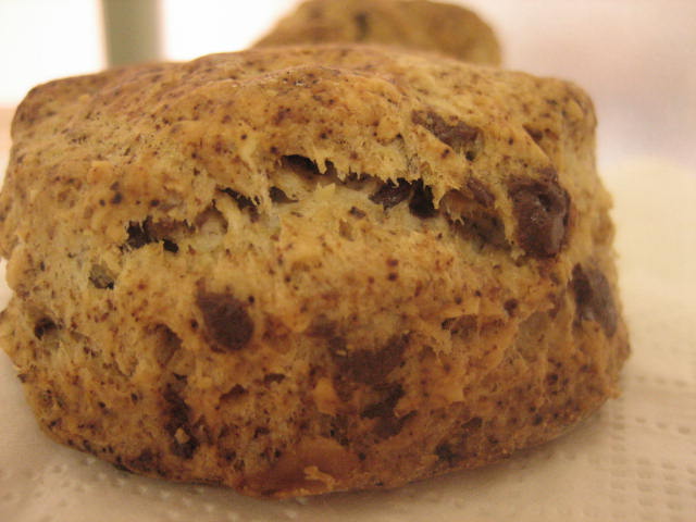 a0052486_111342.jpg