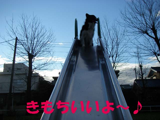 f0114893_23382531.jpg