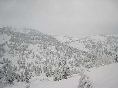 f0038904_1023583.jpg