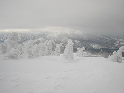 f0038904_1152144.jpg