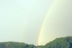 f0048205_82111.jpg