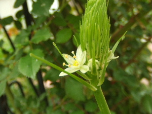 f0041606_17112692.jpg