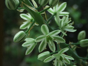 f0041606_17114629.jpg