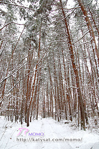 c0088708_1844995.jpg