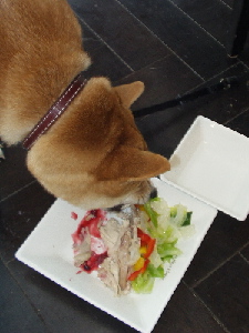 f0004309_002923.jpg