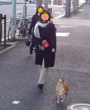 f0004309_004496.jpg