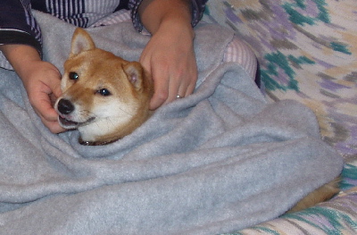 f0004309_005858.jpg