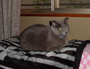 c0066610_2204041.jpg