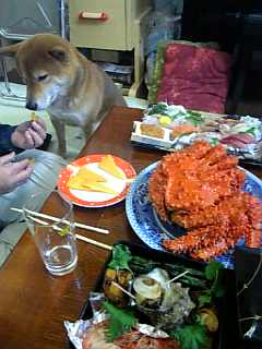 f0006510_11104092.jpg