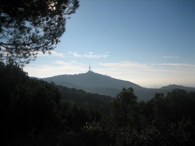 b0064411_6533088.jpg