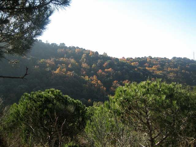 b0064411_711040.jpg