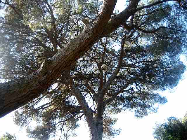 b0064411_724359.jpg