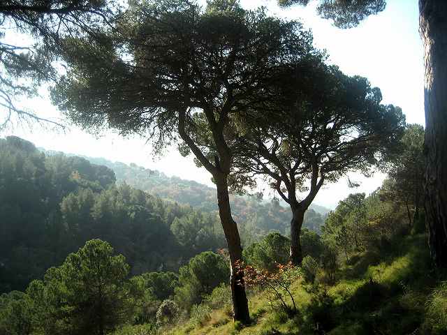 b0064411_73258.jpg
