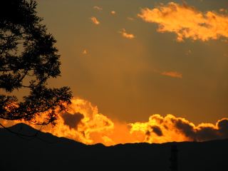 b0053414_2215029.jpg