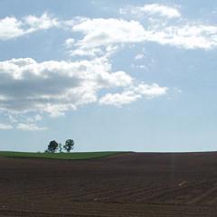 c0036617_6513496.jpg