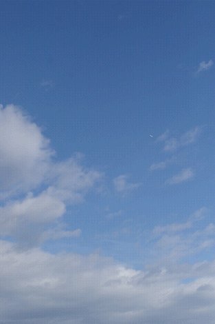 e0002817_11465620.jpg