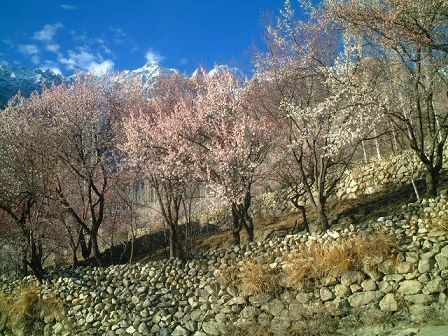 f0060424_2054742.jpg