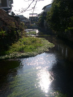 e0052725_0184131.jpg