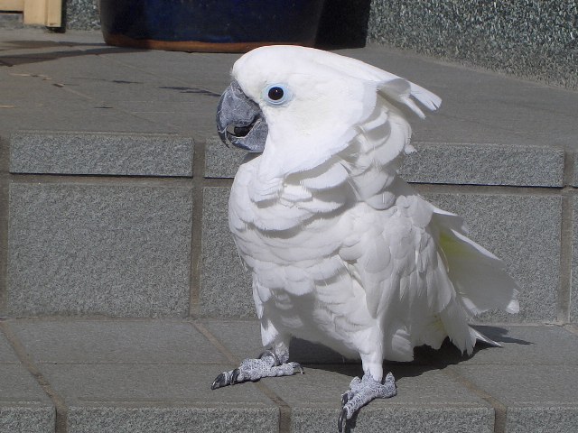 e0107730_20262268.jpg