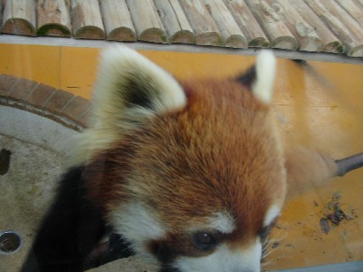 f0002833_23475658.jpg