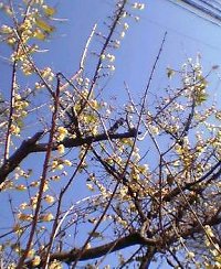 c0025938_224189.jpg