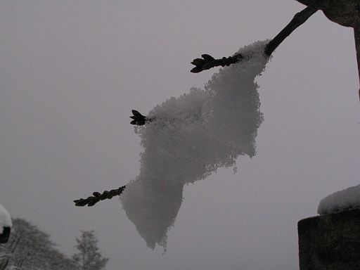 c0024743_2133910.jpg