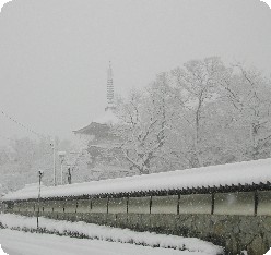 f0096147_13193499.jpg