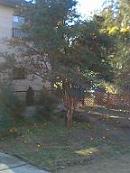 e0022948_17523634.jpg