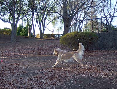c0097558_0482765.jpg
