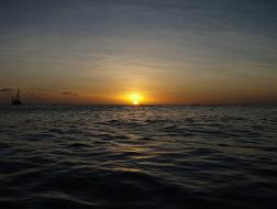 a0055362_12561786.jpg