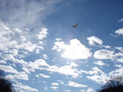 a0055362_1443371.jpg