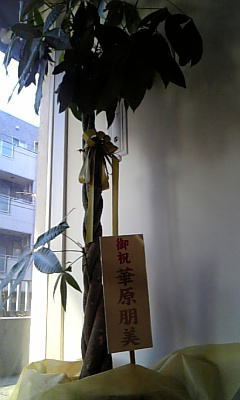b0032962_21464266.jpg
