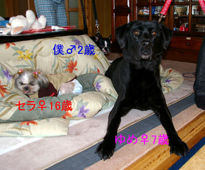 c0032567_12391014.jpg