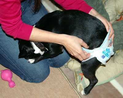 c0032567_1244639.jpg