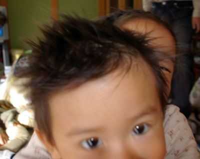 c0032567_1314647.jpg