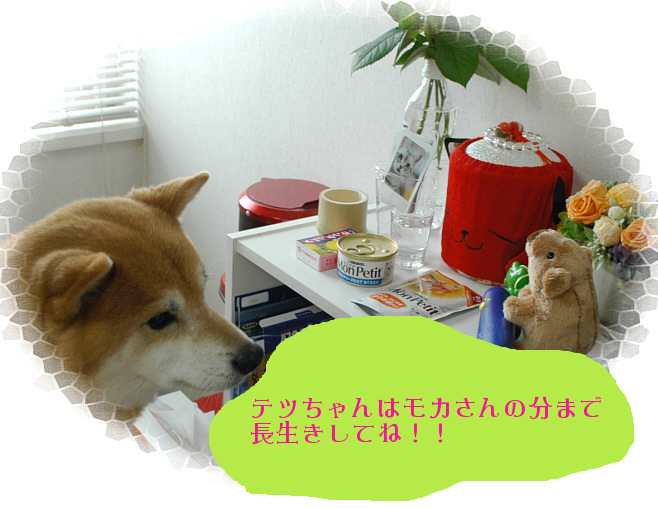 c0026870_1253782.jpg