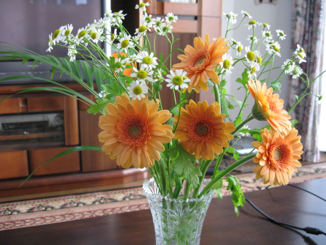 d0070473_14114335.jpg