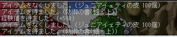 e0020782_23281655.jpg