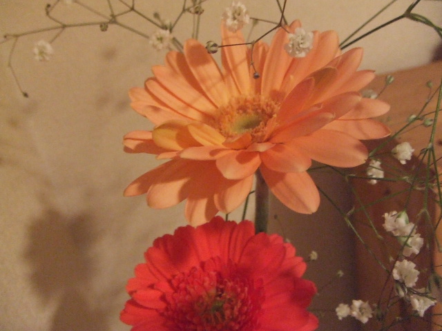 f0028584_20252010.jpg